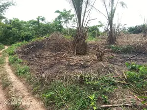 Central Region, A.A.K Dist (Abakrampa) _ 200+ Acres Farmland