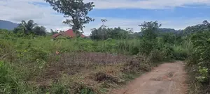 Volta Region, Ho (Dave) _ 5 Plots Building Land