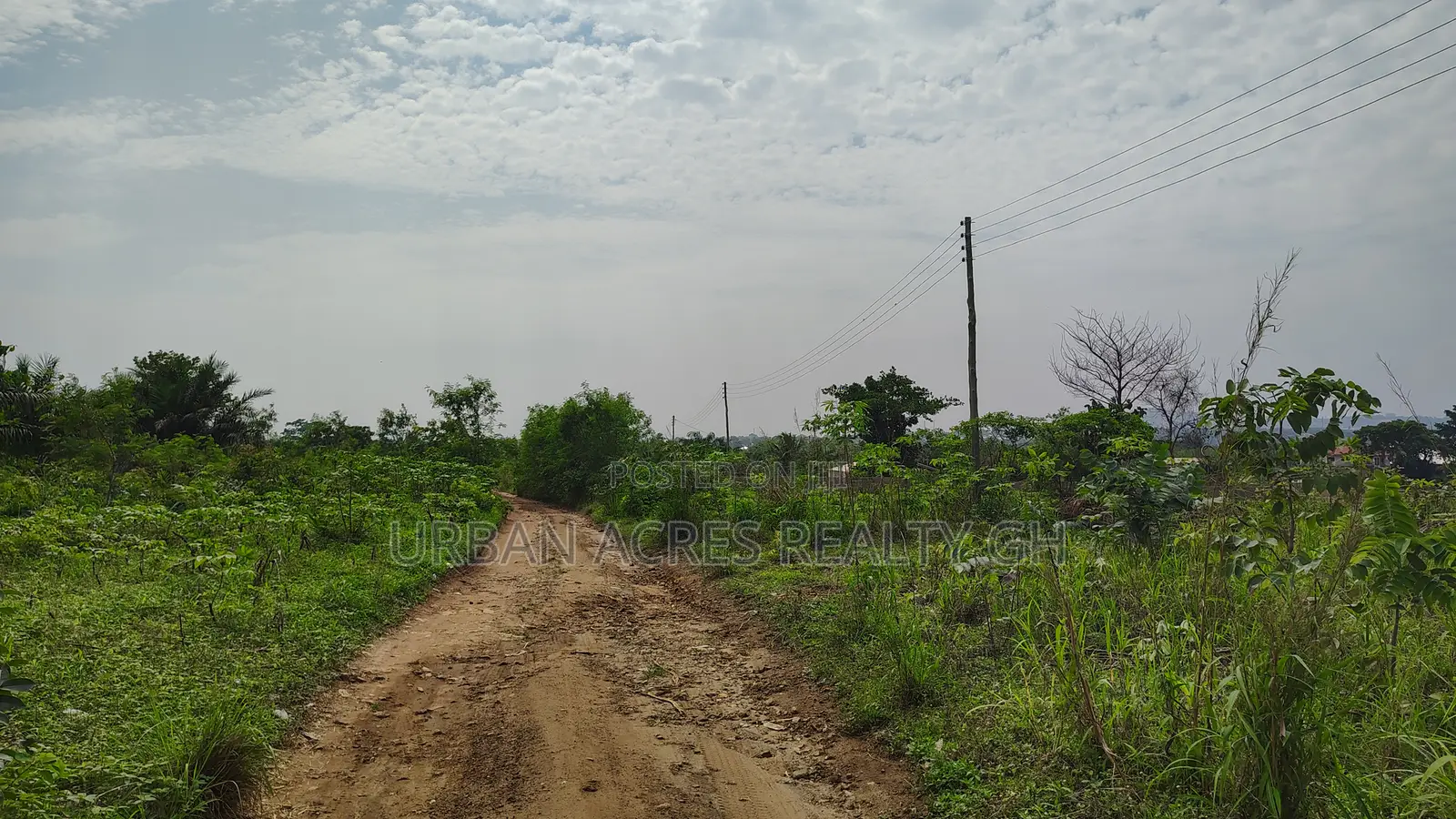 Volta Region, Ho (Dave) _ 5 Plots Building Land