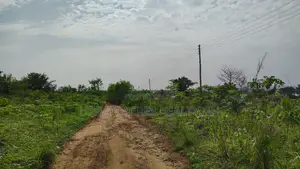 Volta Region, Ho (Dave) _ 5 Plots Building Land