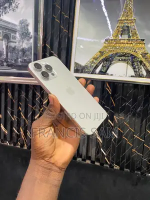 Apple iPhone 15 Pro Max 256 GB Silver