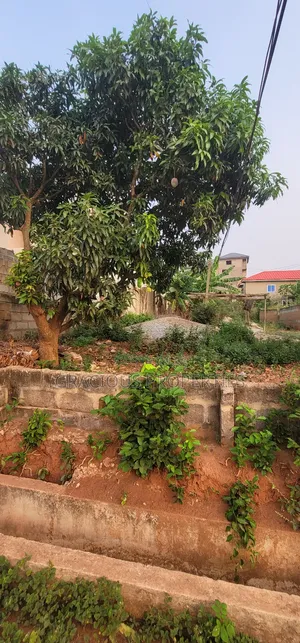2 Plots of Land for Sale