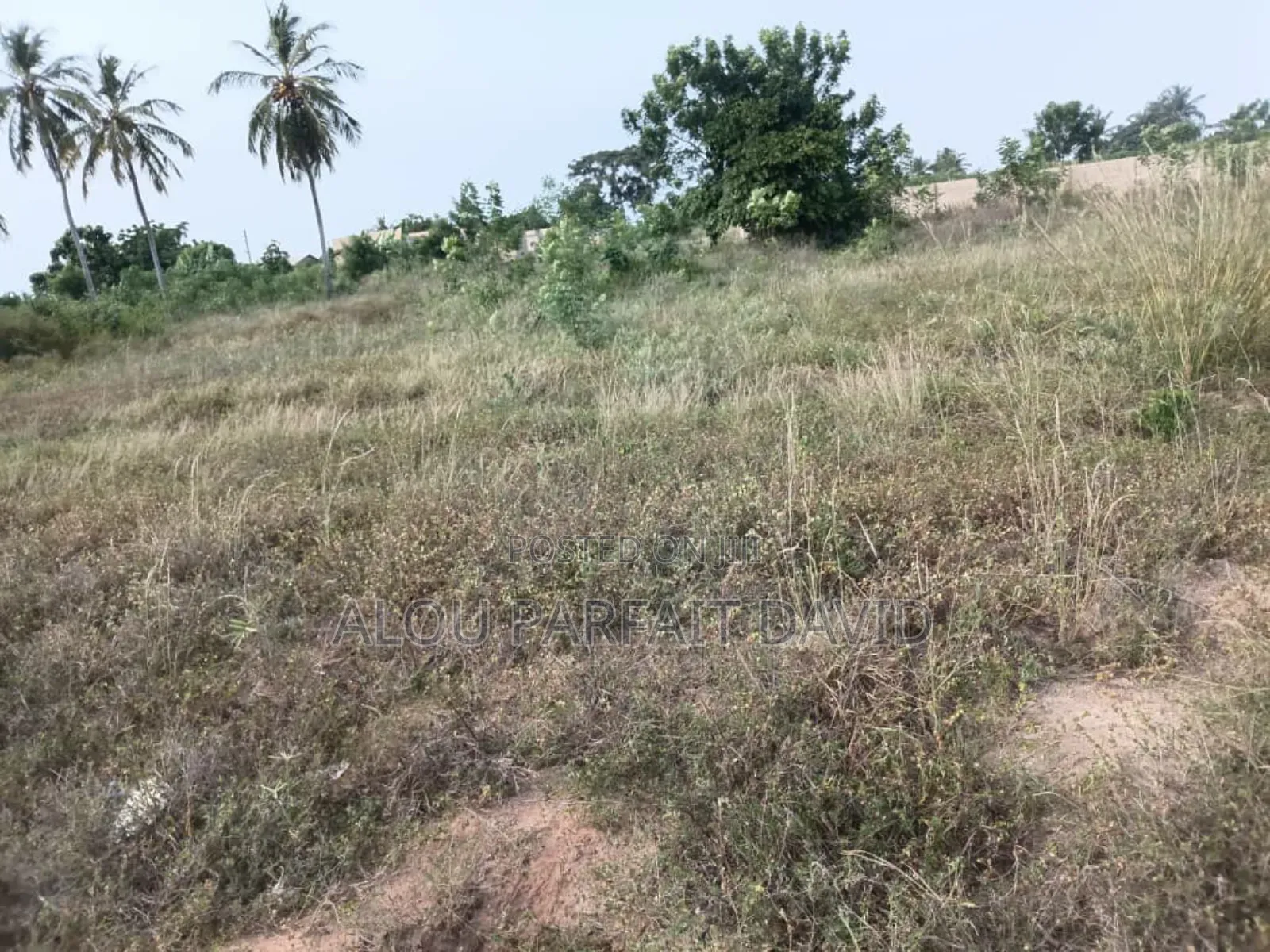 3 Plots of Land for Sale