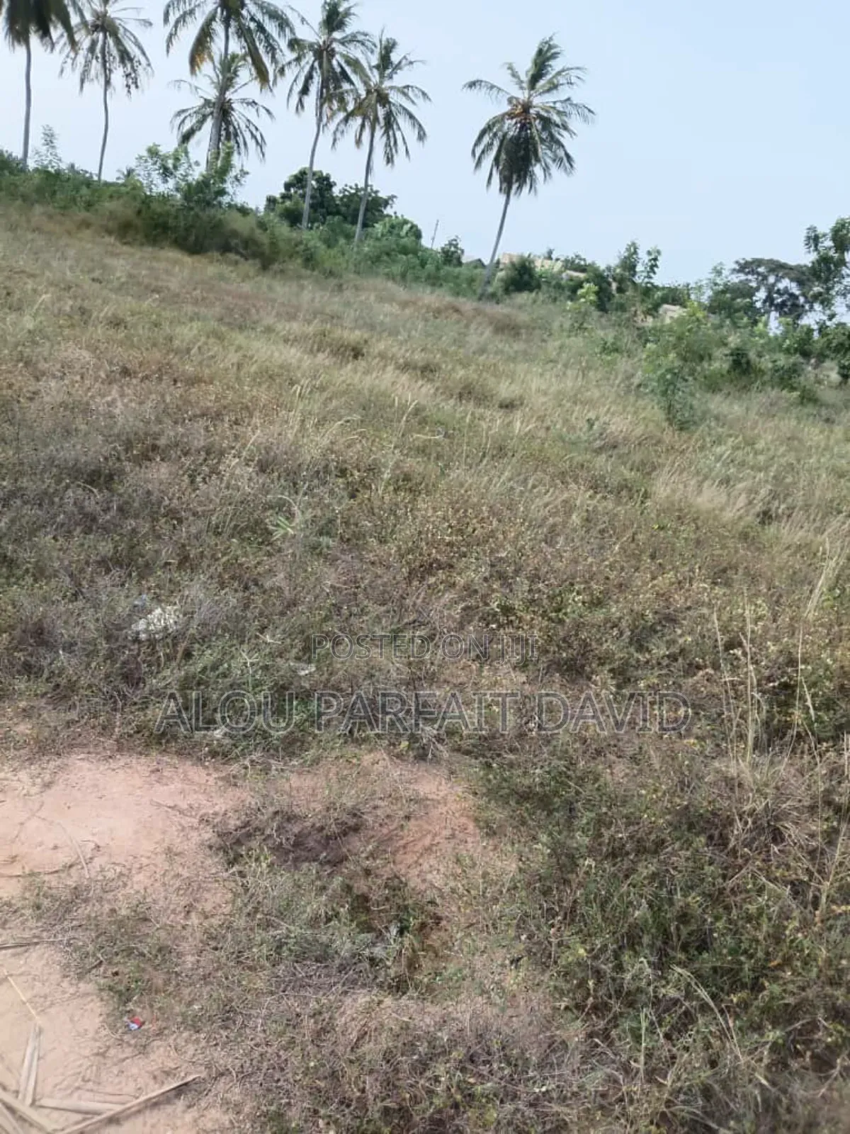 3 Plots of Land for Sale