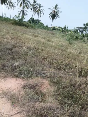 3 Plots of Land for Sale