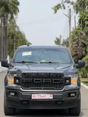 Ford F-150 2020 Gray