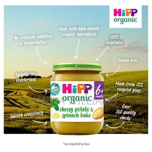 Organic Baby Food X6