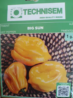 Big Sun Hot Pepper Seeds