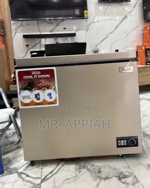 Efficient Zara 300fl Electric Chest Freezer(238liter)Gold 