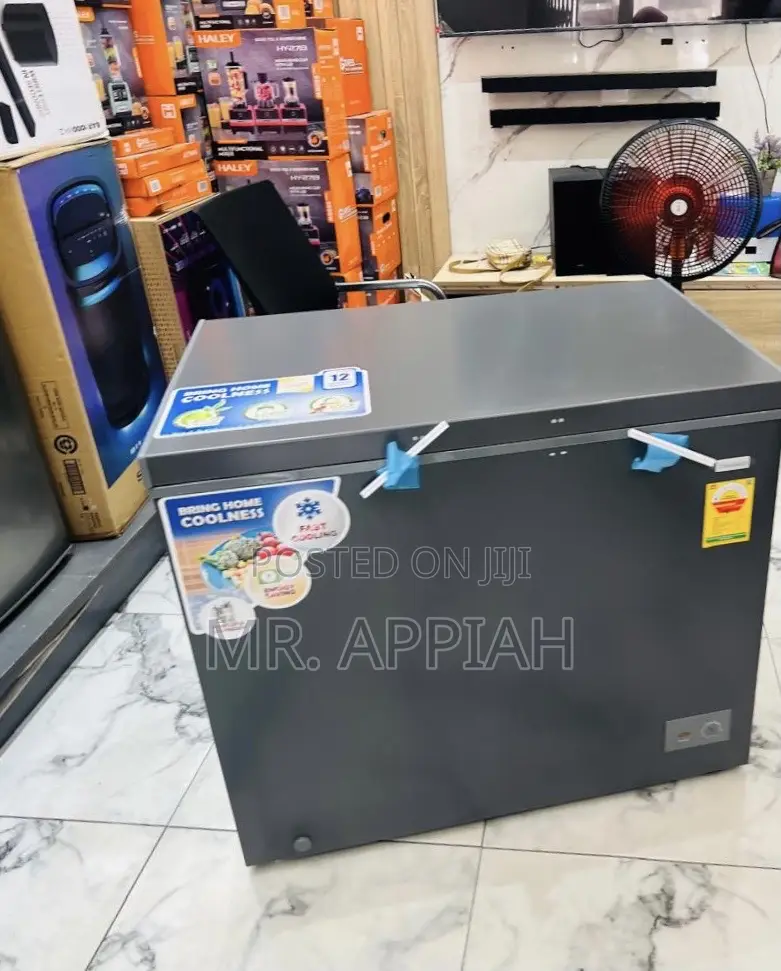 Quiet and Durable Nasco 250l Single Door Electric Freezer(Nas300fl)