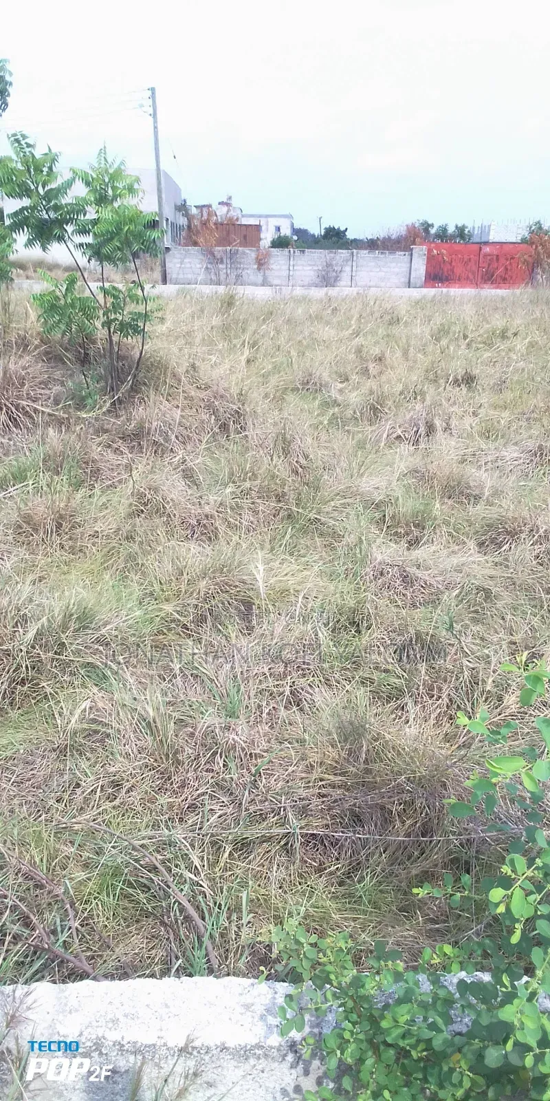 Located at Tetegu, Know Litigation.Land Document Signed by the Chiefs.