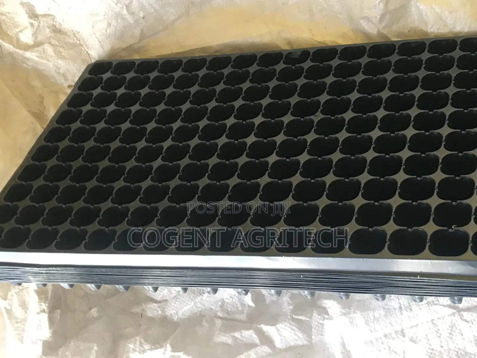 Seedlings Tray (105 Cells)
