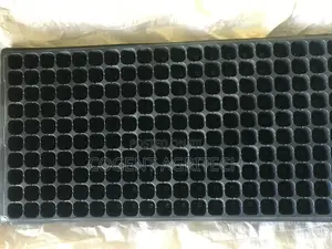 Seedlings Tray (105 Cells)