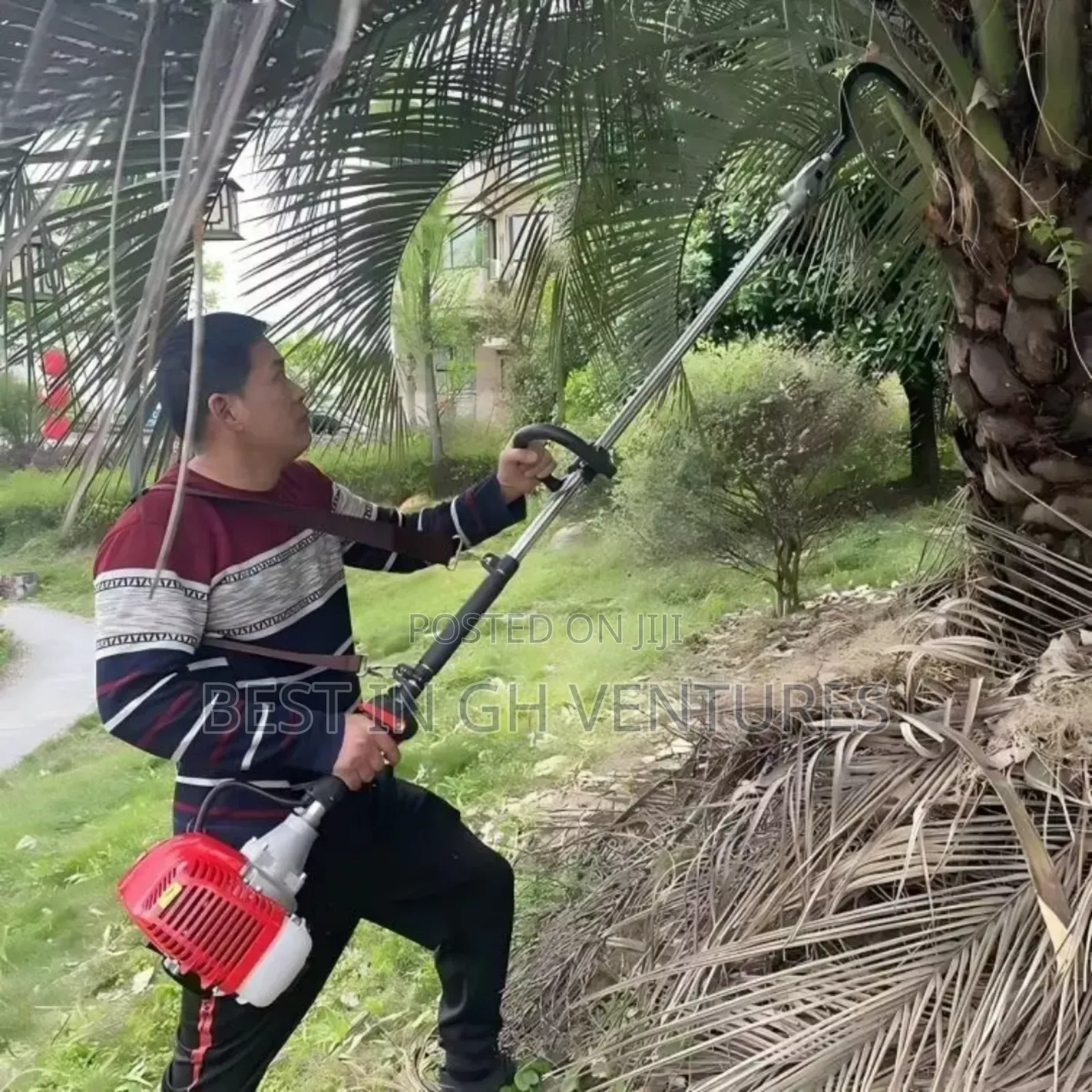 4 Stroke Brush Cutter Palm Harvester (Top Quality)