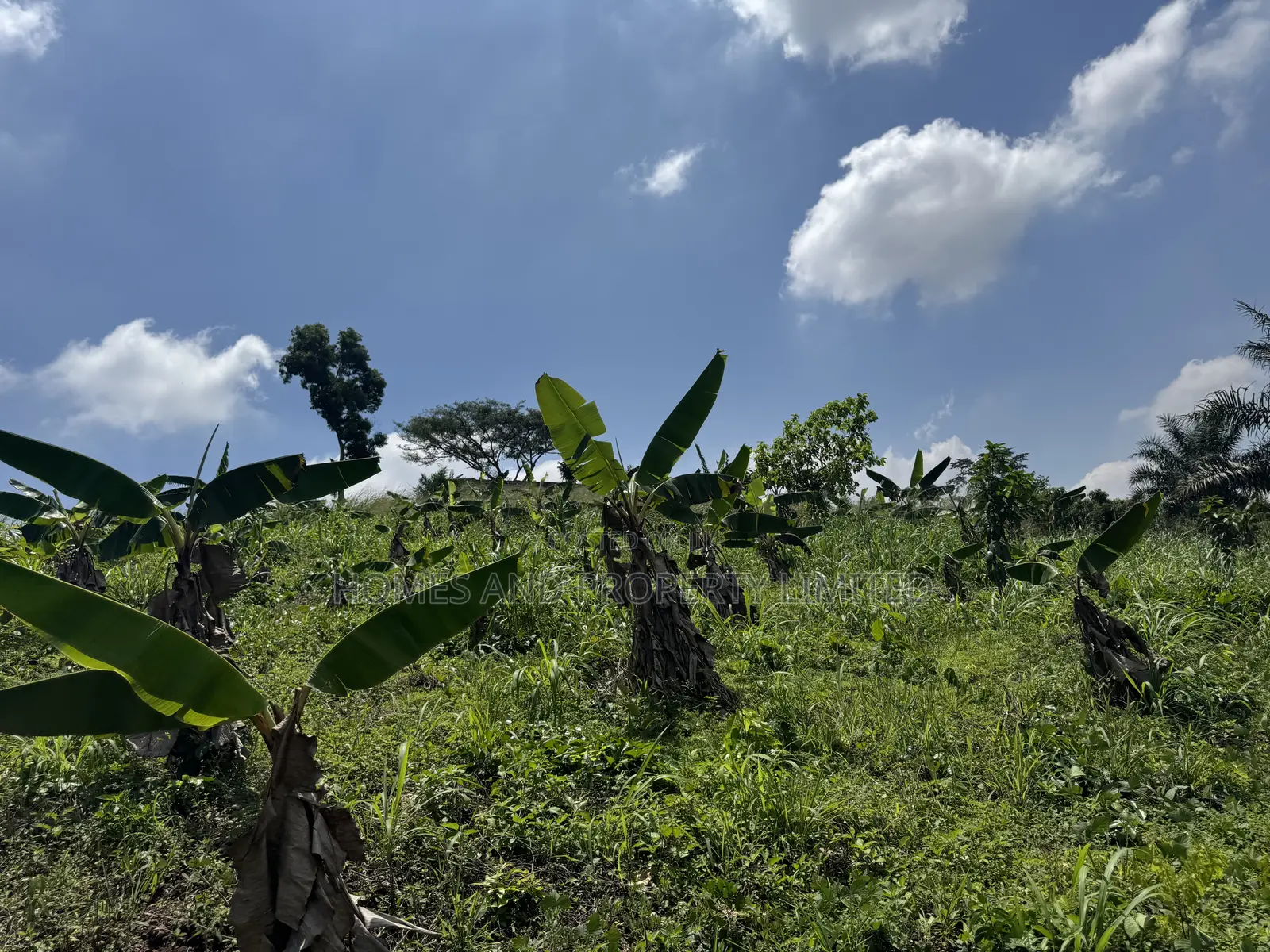 Residential Land for Sale