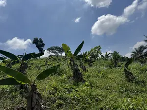 Residential Land for Sale