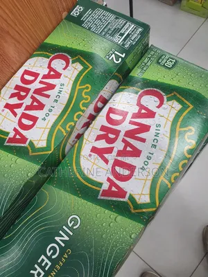 Canada Dry Ginger Ale (12 Pack)