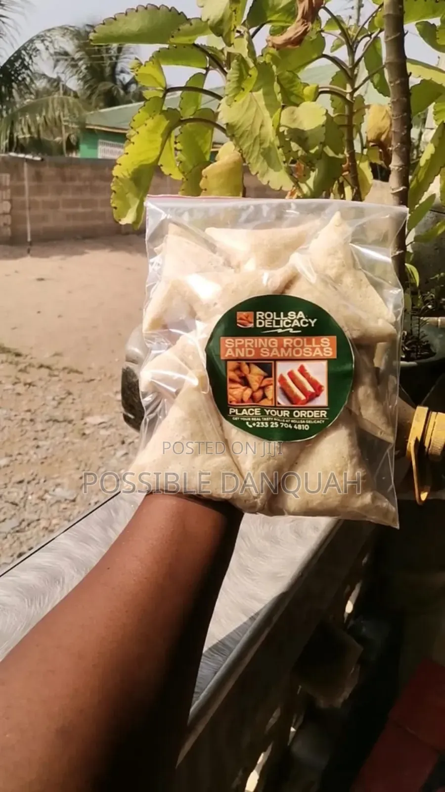 Frozen Spring Rolls Samosas