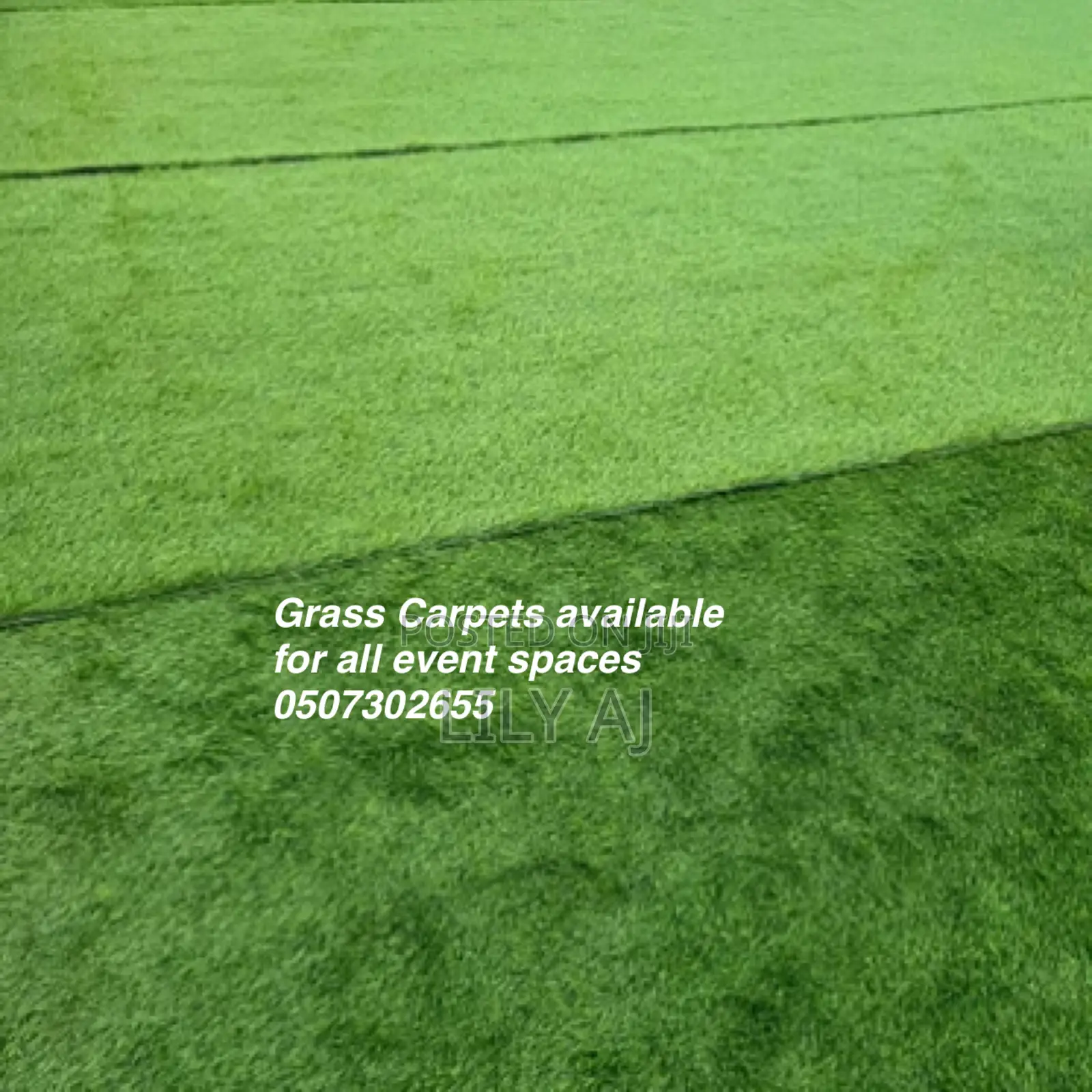 Grass Carpet Rental