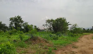 C/R - Swedru (Asafo) _ 1 Plot Building Land