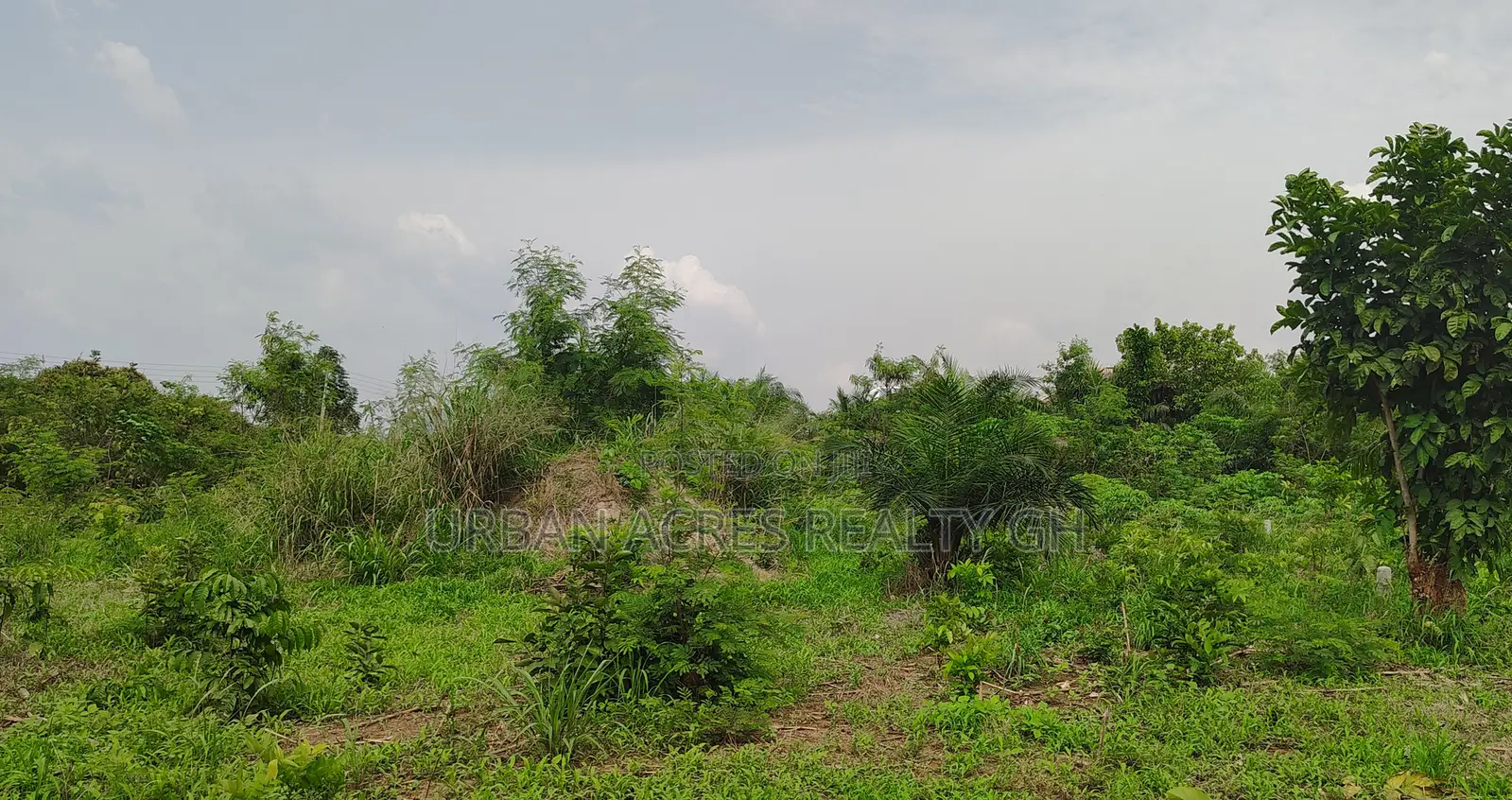 C/R - Swedru (Asafo) _ 1 Plot Building Land