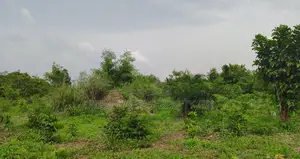 C/R - Swedru (Asafo) _ 1 Plot Building Land