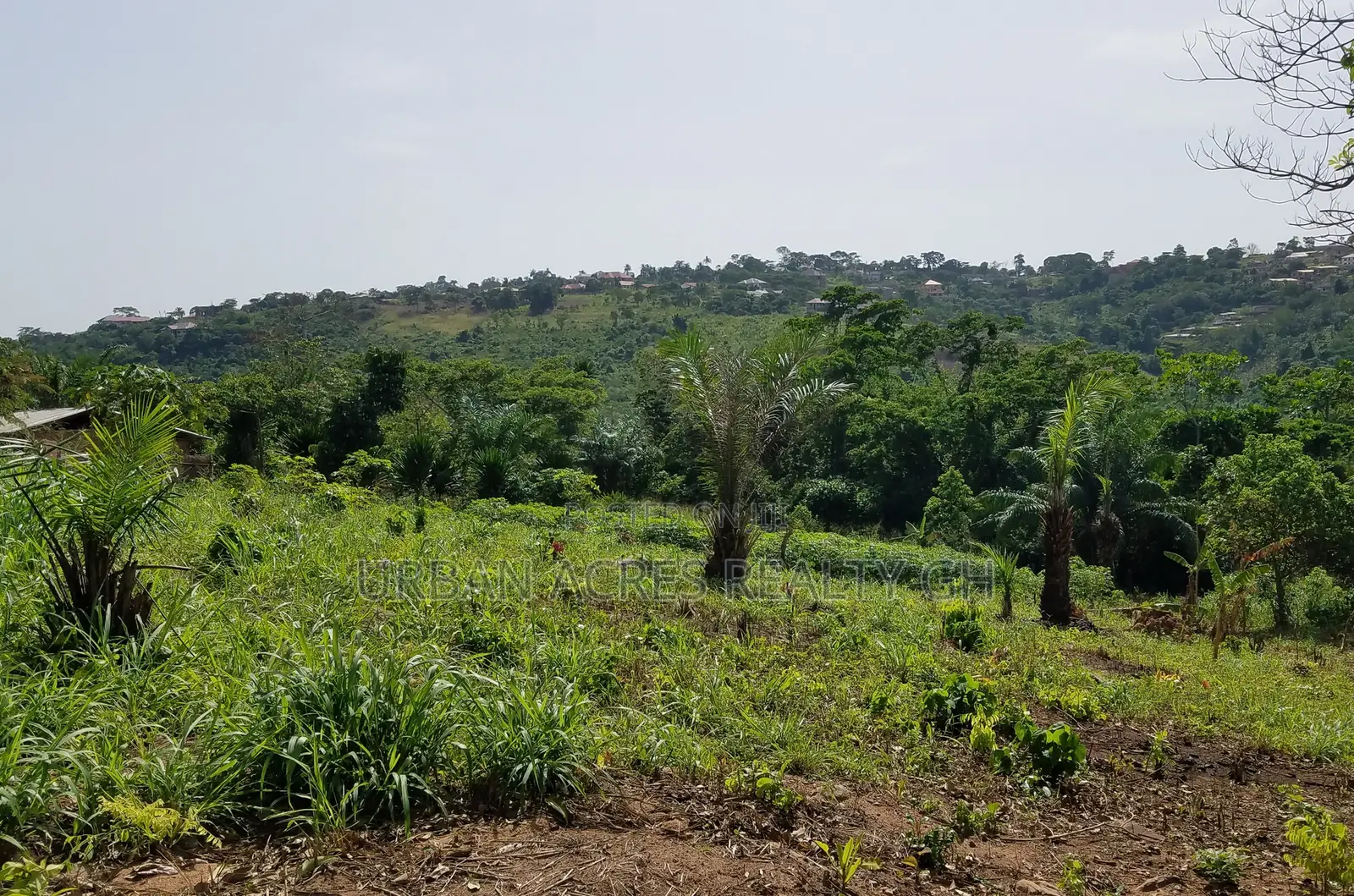 E/R, Adukrom (Safari Eco Park) _ 10 Acres Mountain Land