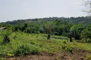 E/R, Adukrom (Safari Eco Park) _ 10 Acres Mountain Land