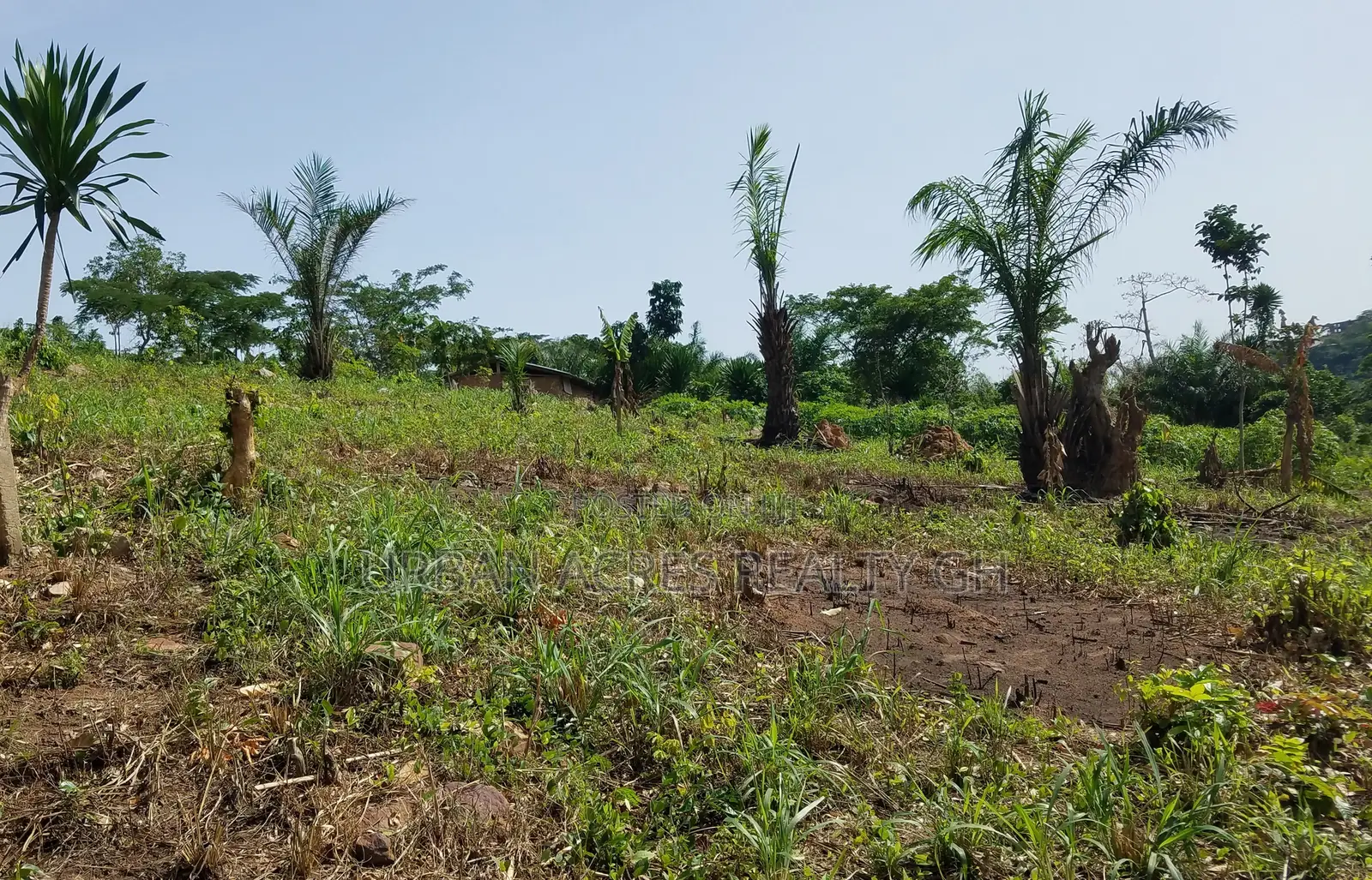 E/R, Adukrom (Safari Eco Park) _ 10 Acres Mountain Land