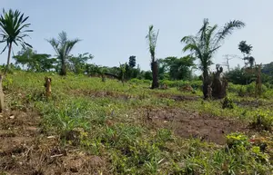 E/R, Adukrom (Safari Eco Park) _ 10 Acres Mountain Land