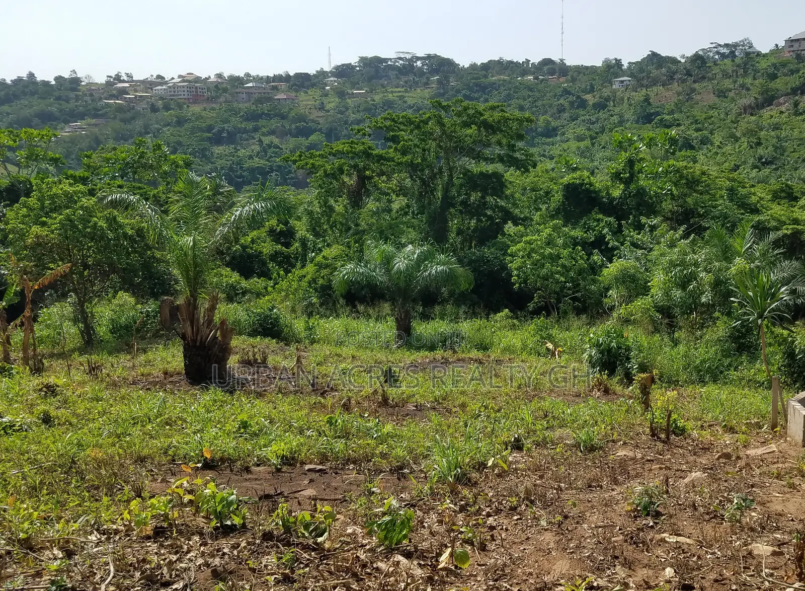 E/R, Adukrom (Safari Eco Park) _ 10 Acres Mountain Land
