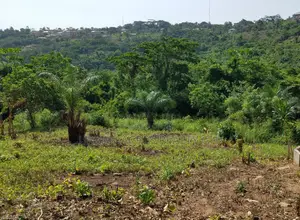E/R, Adukrom (Safari Eco Park) _ 10 Acres Mountain Land