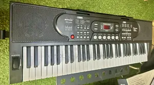 Bd- 669music 61 Keys Electronic Keyboard