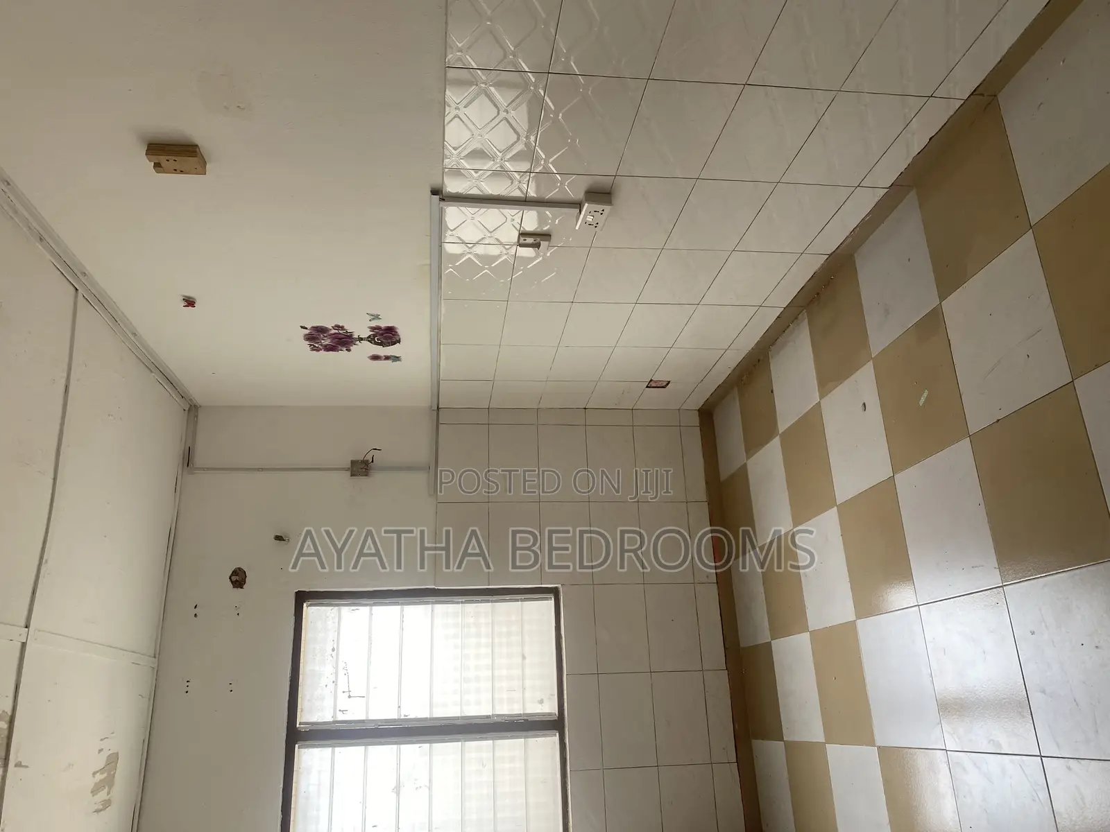 1bdrm Apartment in Modern Properties, New Town for rent