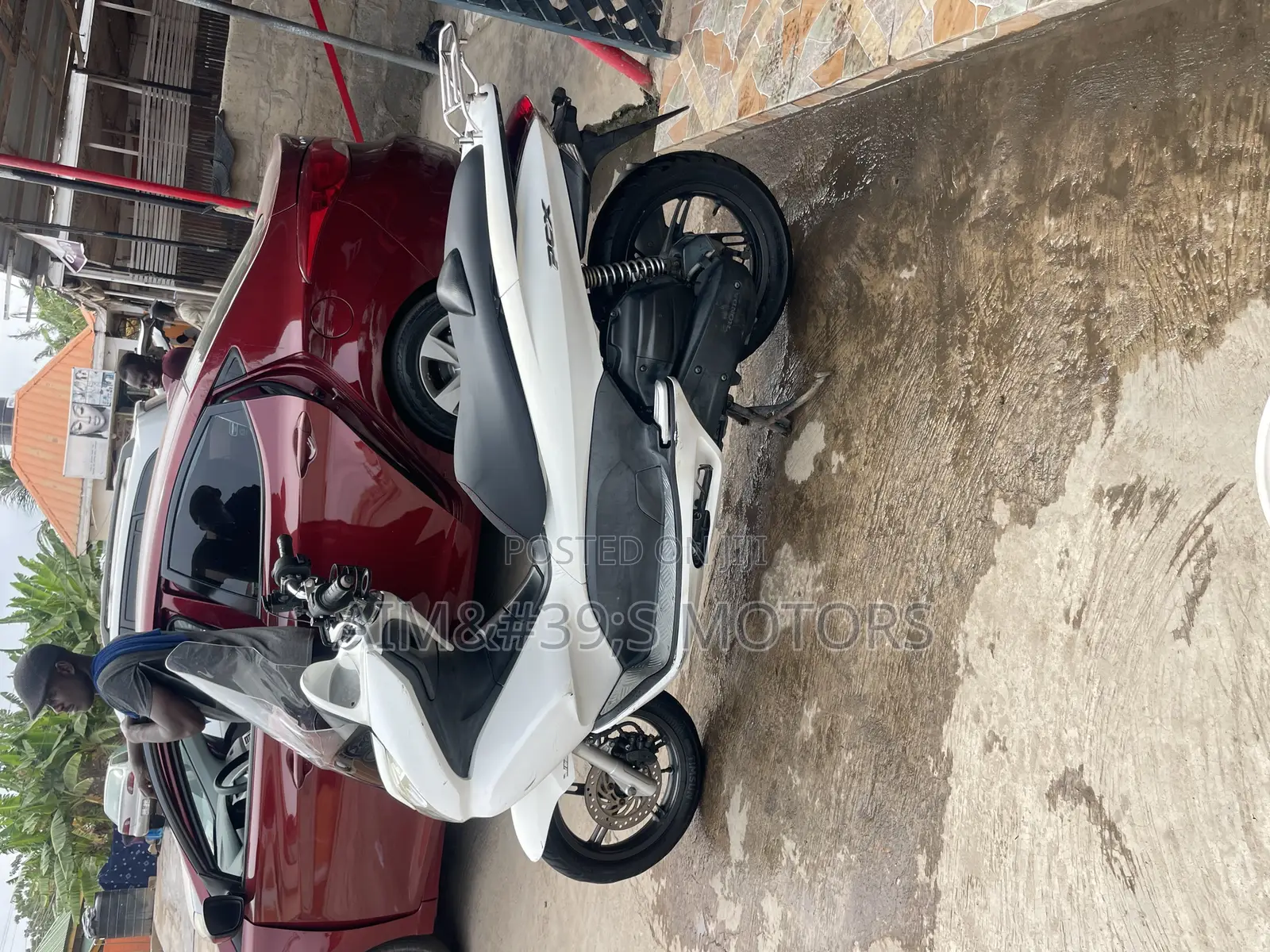 Honda 2026 White