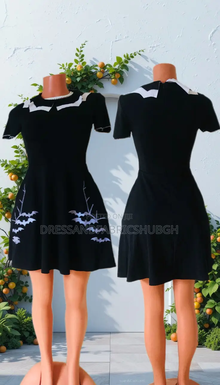 Ladies Dresses
