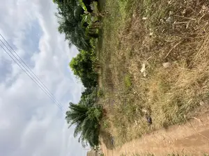 Land Forsale at Kronum No Afrancho