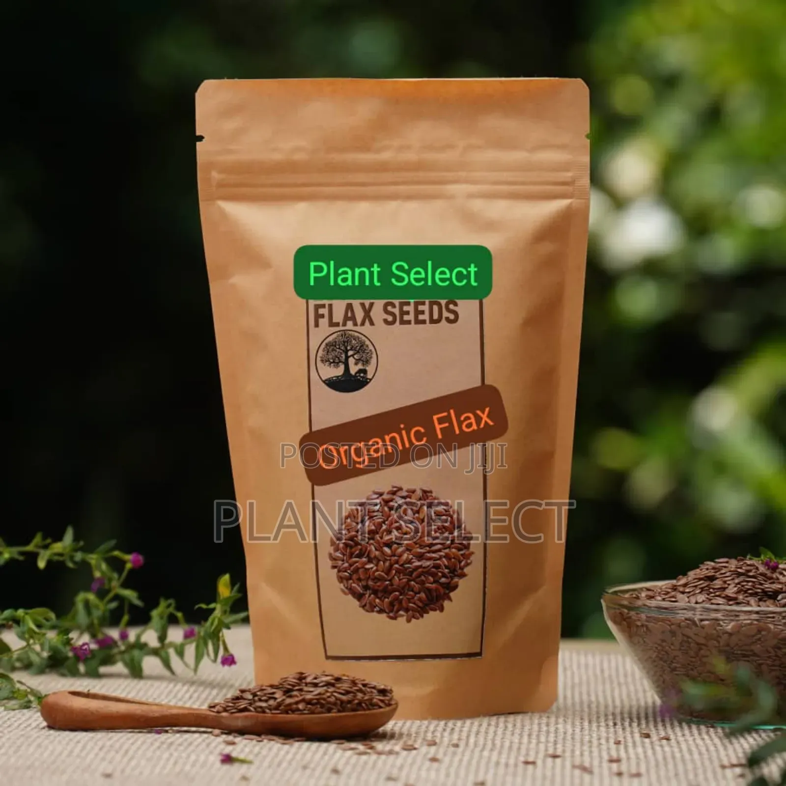 Organic Flax Seeds (350 Grams)