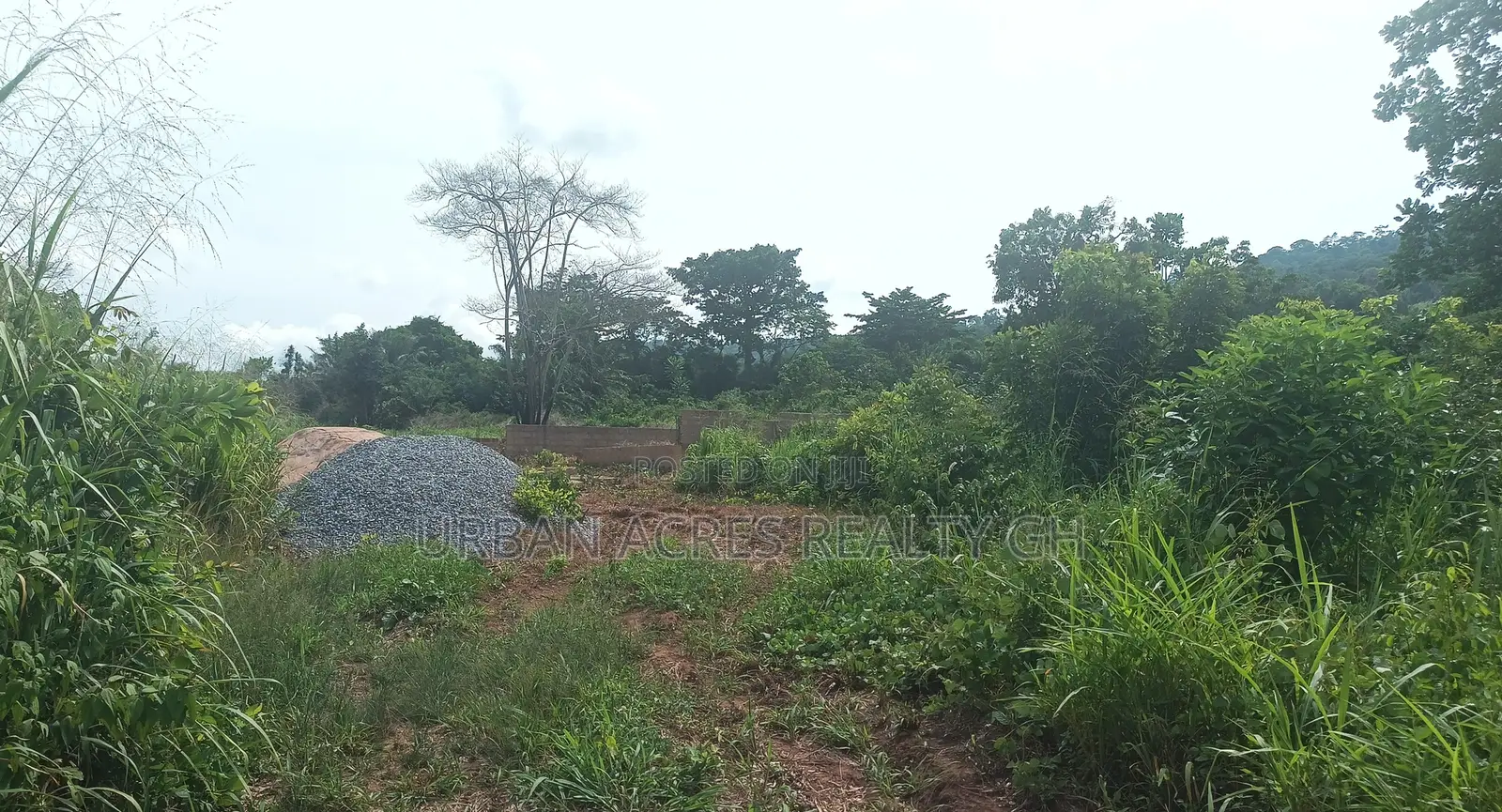 C/R, Swedru (Asafo) _ 1 Plot (80'x100') Land