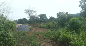 C/R, Swedru (Asafo) _ 1 Plot (80'x100') Land