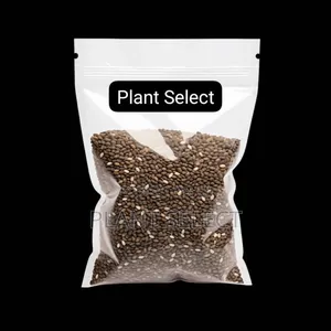 Organic Chia Seeds (350 Grams)