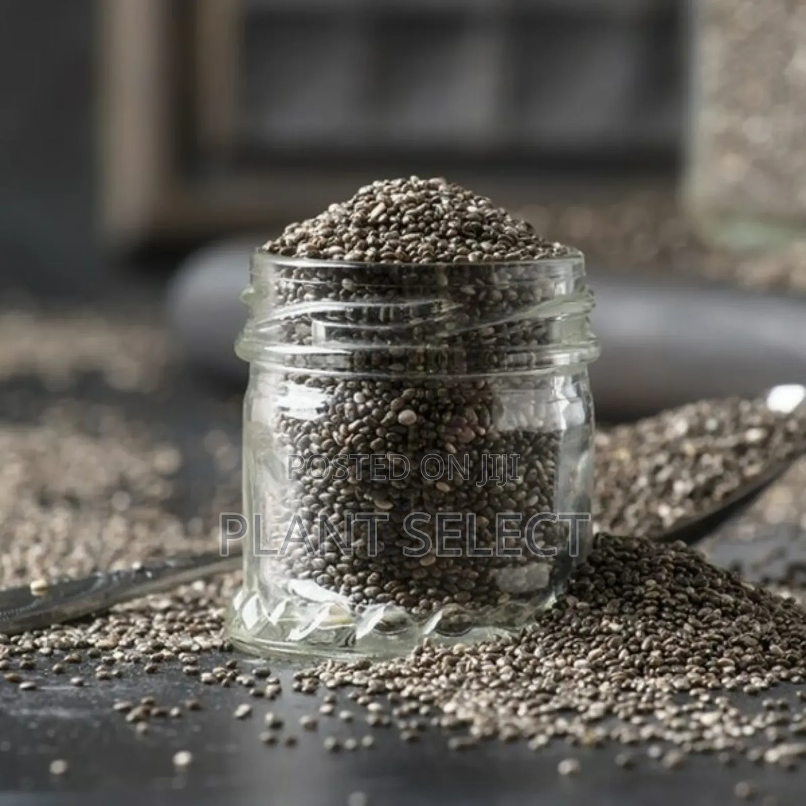 Organic Chia Seeds (350 Grams)