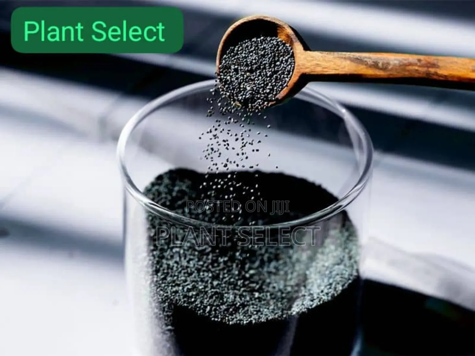 Organic Black Seeds (350 Grams)