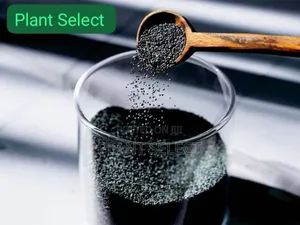 Organic Black Seeds (350 Grams)