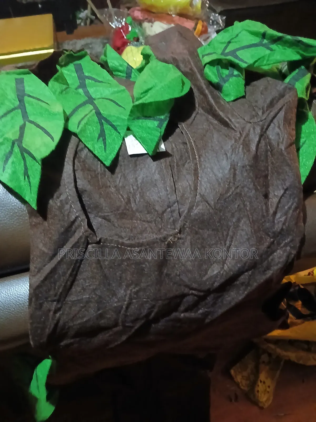 Fruit and Vegetable Costumes