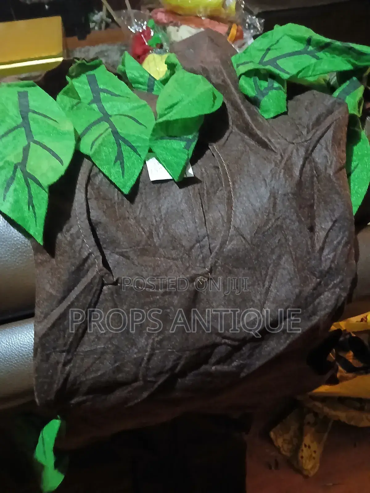 Fruit and Vegetable Costumes