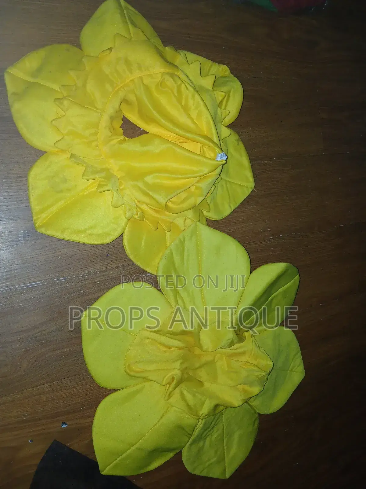 Fruit and Vegetable Costumes