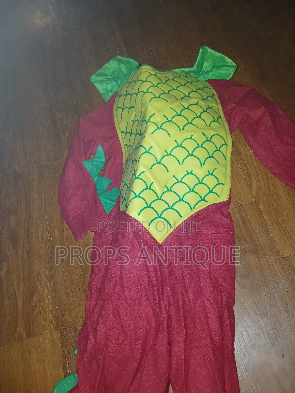 Fruit and Vegetable Costumes
