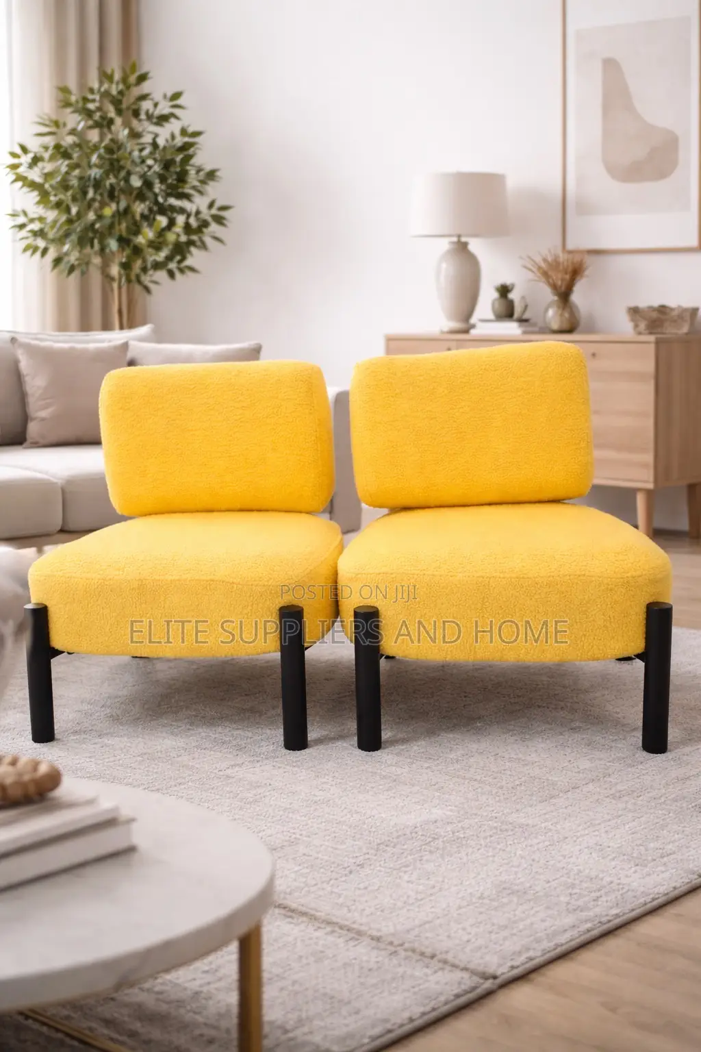 Leisure Chair