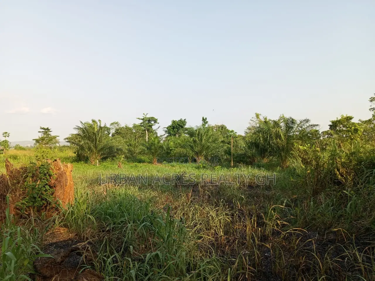 E.R, Koforiduah (Obuortumpan) _ 6 Plots Building Land